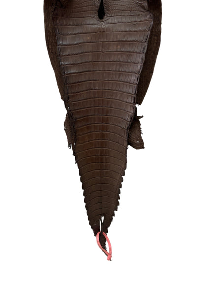 27 cm Grade 2/3 Nicotine Matte Farm-Raised American Alligator Leather - Tag: FL21-0023982