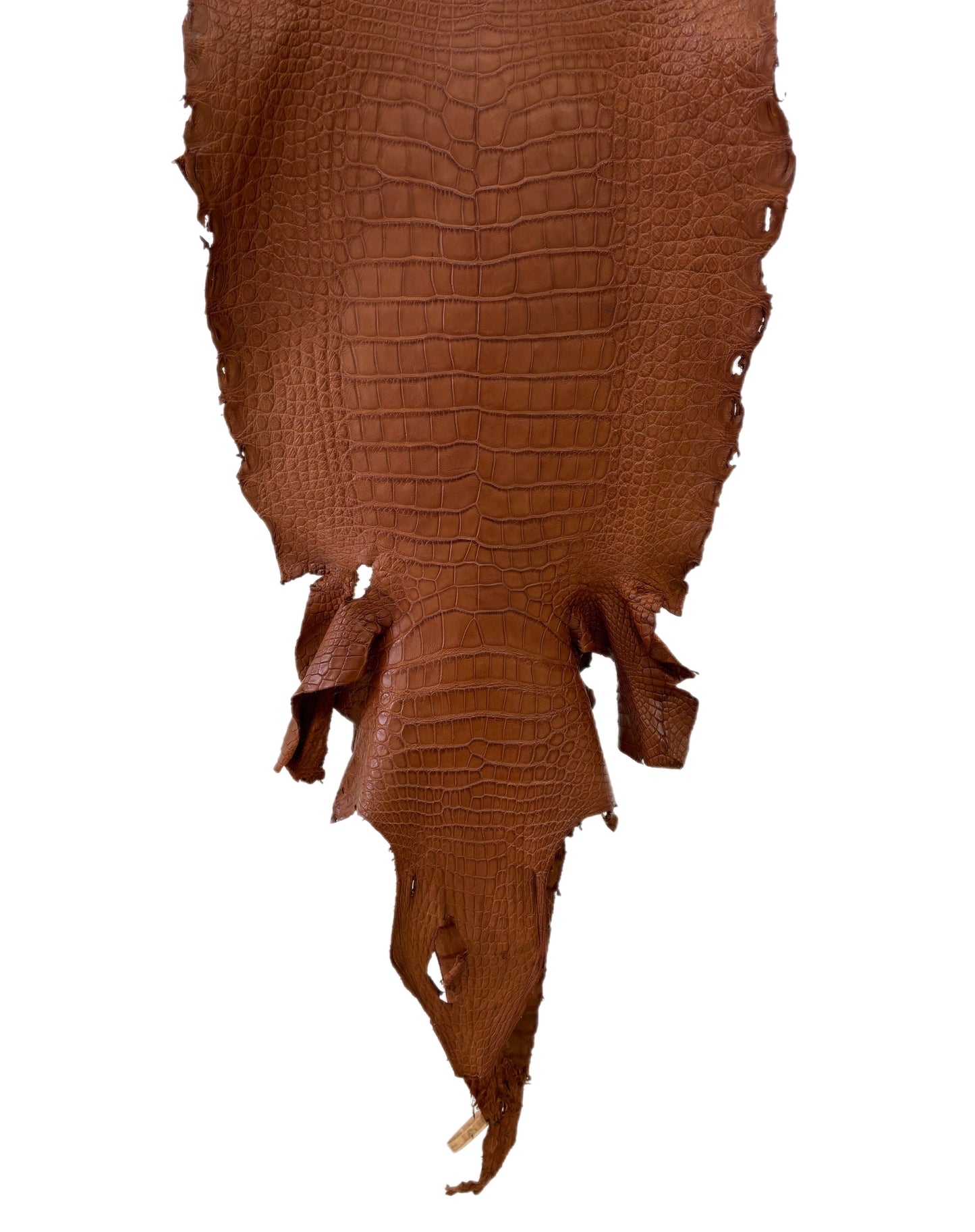 37 cm Grade 3/4 Cognac Matte Wild American Alligator Leather - Tag: LA23-0027023