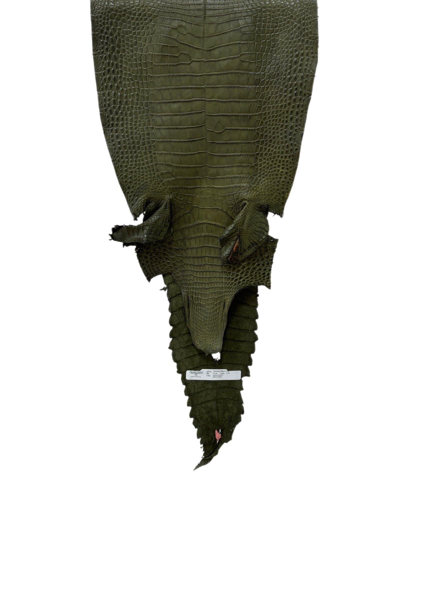31 cm Grade 2/3 Olive Matte Farm-Raised American Alligator Leather - Tag: FL21-0024428