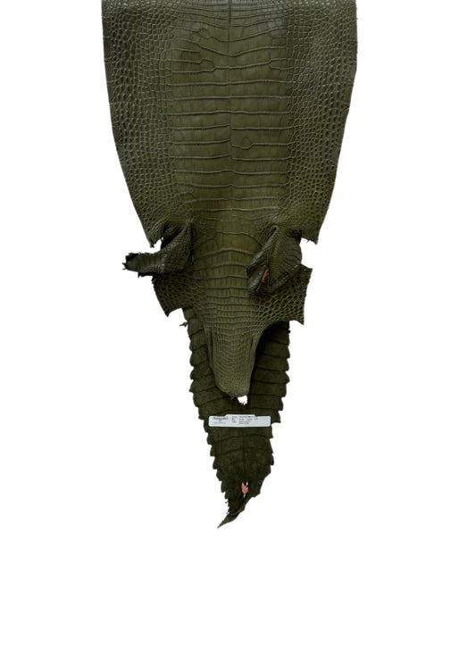 31 cm Grade 2/3 Olive Matte Farm-Raised American Alligator Leather - Tag: FL21-0024428