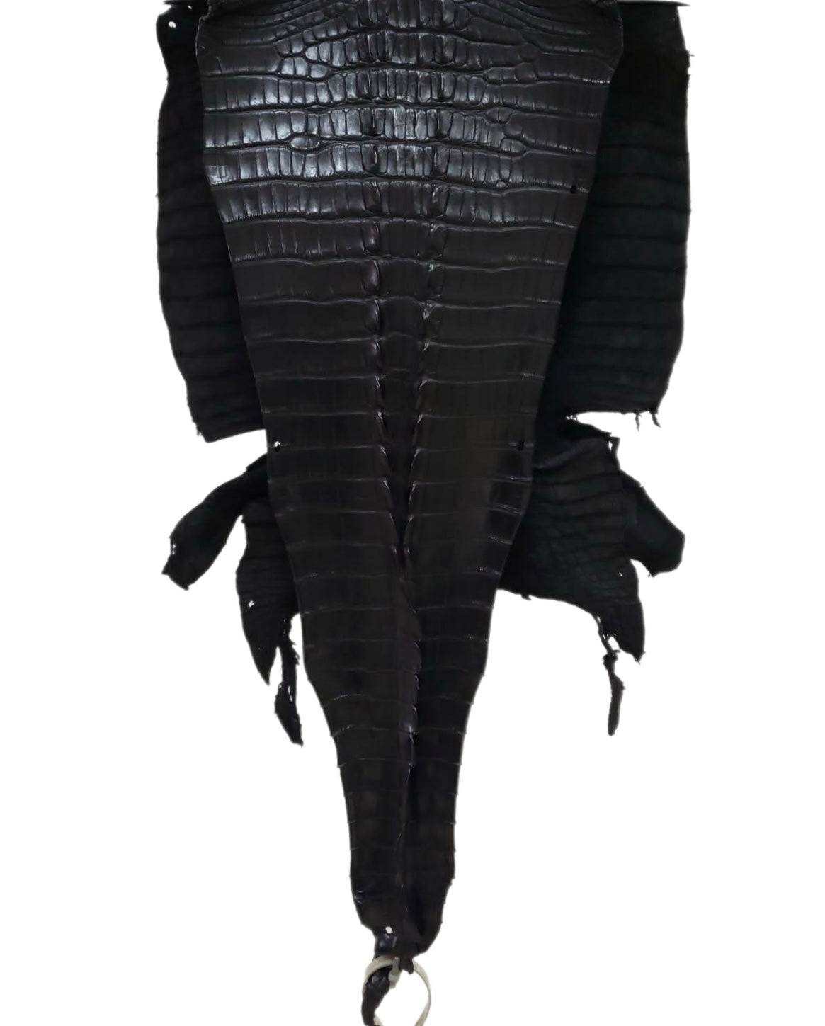 38 cm Grade 1/2 Black Matte Farm-Raised American Alligator Hornback Leather - Tag: LA23-0377143