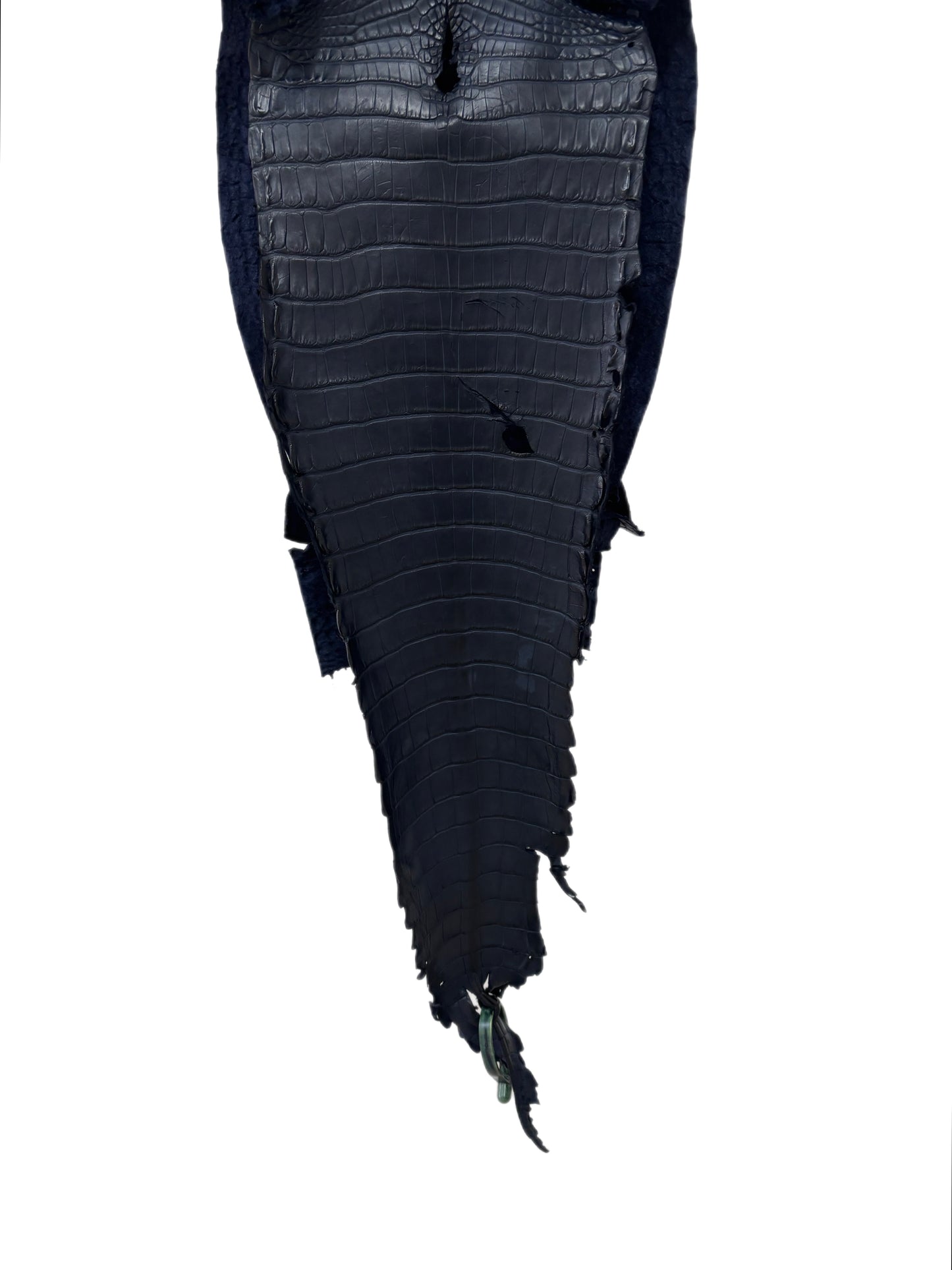 28 cm Grade 2/3 Navy Blue Matte Farm-Raised American Alligator Leather - Tag: FL22-0030418