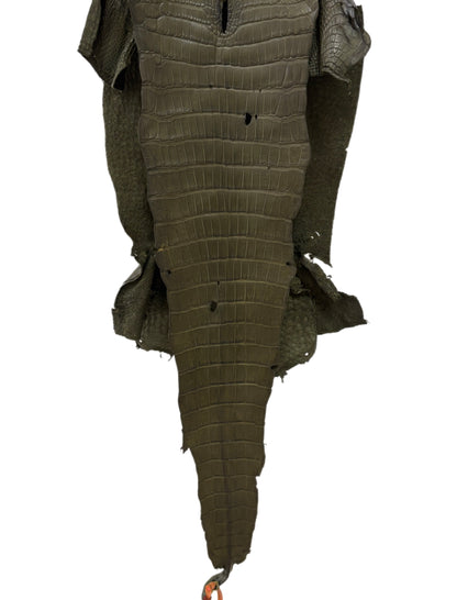 33 cm Grade 2/3 Olive Matte Wild American Alligator Leather - Tag: MS24-0000653