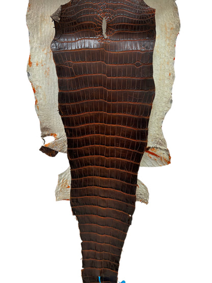 33 cm Grade 1/2 Sienna Matte Wild American Alligator Leather - Tag: ESRE-0033698