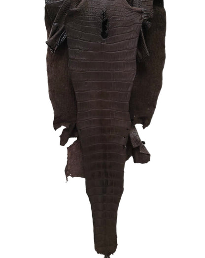 42 cm Grade 2/3 Kralle Brown Matte Wild American Alligator Leather - Tag: LA24-0022815