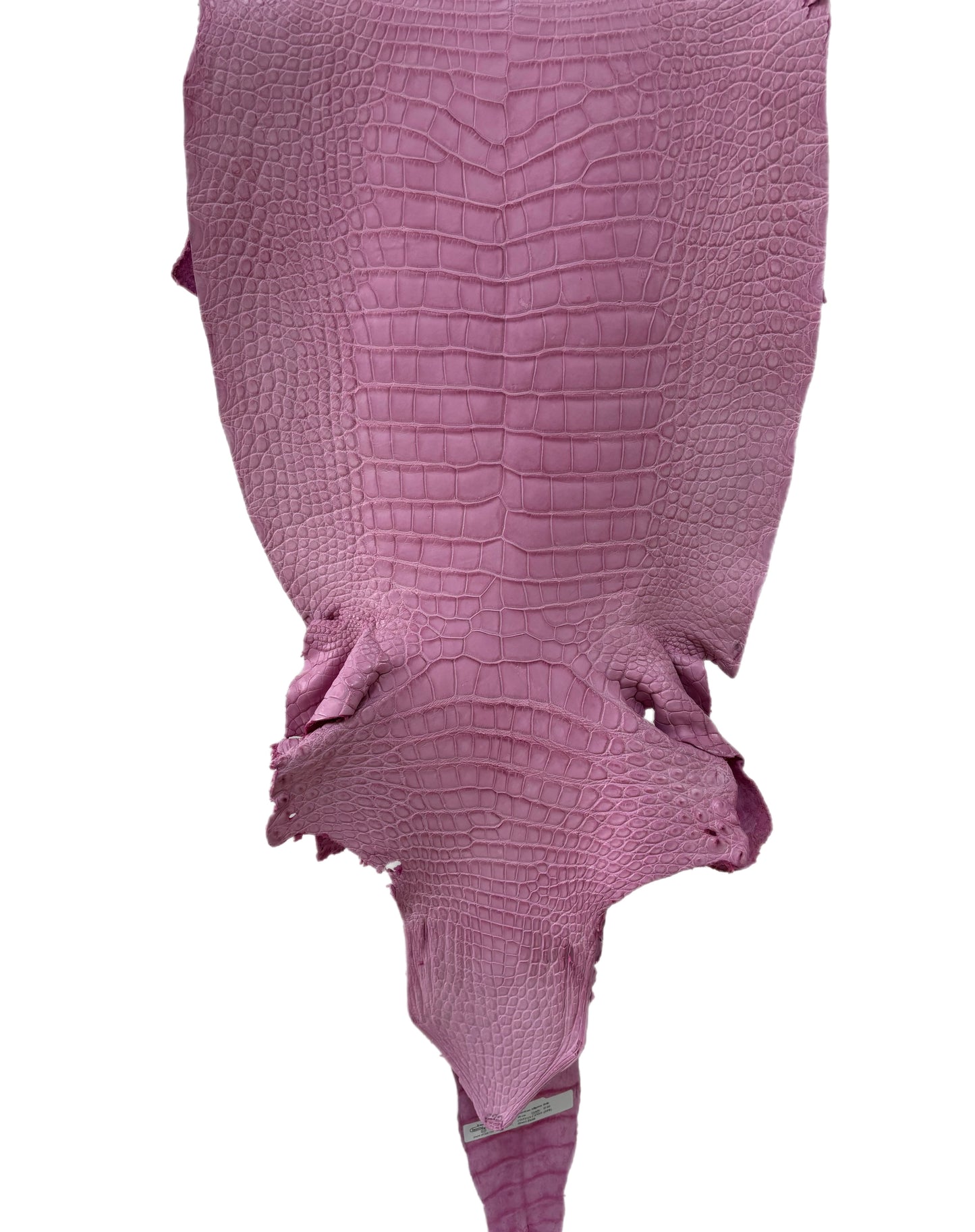 40 cm Grade 2/3 Cotton Candy Matte Wild American Alligator Leather - Tag: LA23-0033803