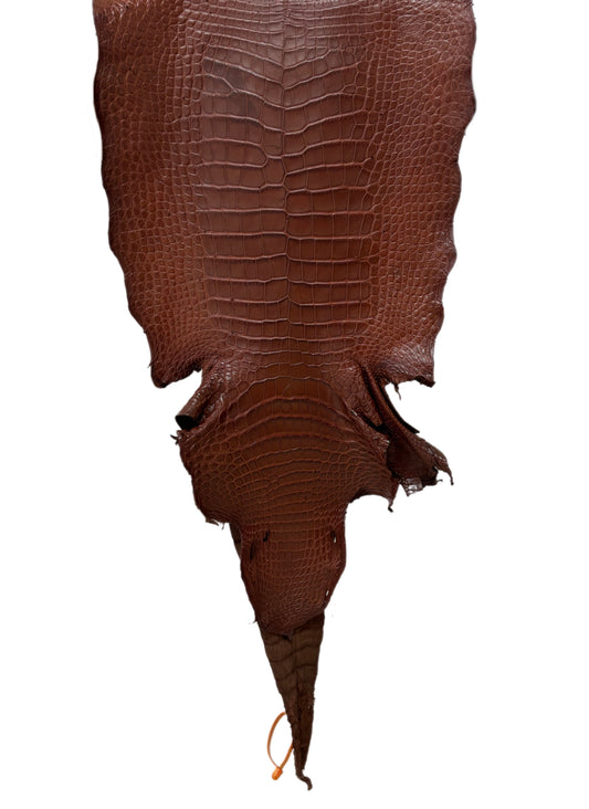 37 cm Grade 4/5 Chesnut Matte Wild American Alligator Leather - Tag: LA17-0011691