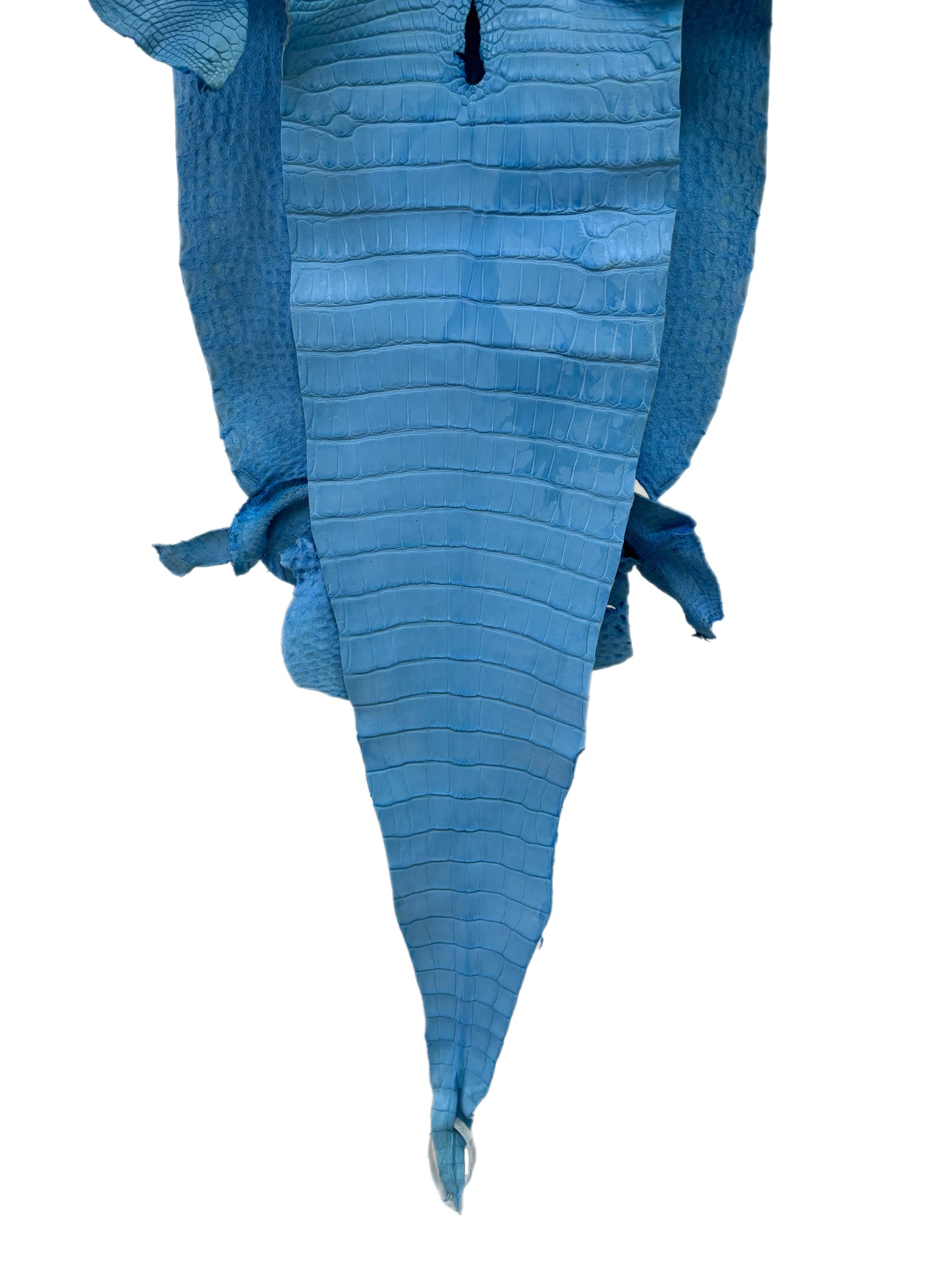 36 cm Grade 1/2 Sky Blue Matte Farm-Raised American Alligator Leather - Tag: LA17-0274521