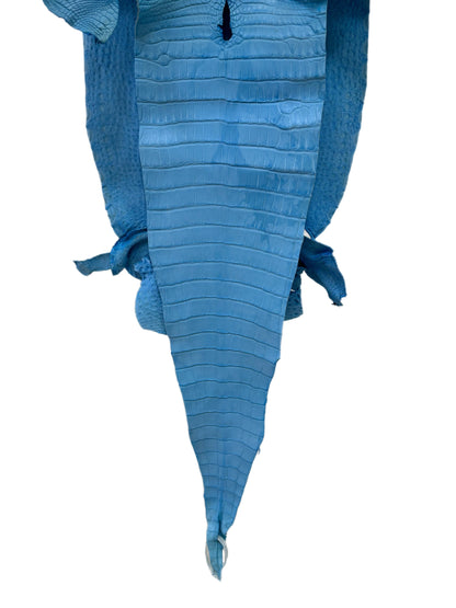 36 cm Grade 1/2 Sky Blue Matte Farm-Raised American Alligator Leather - Tag: LA17-0274521