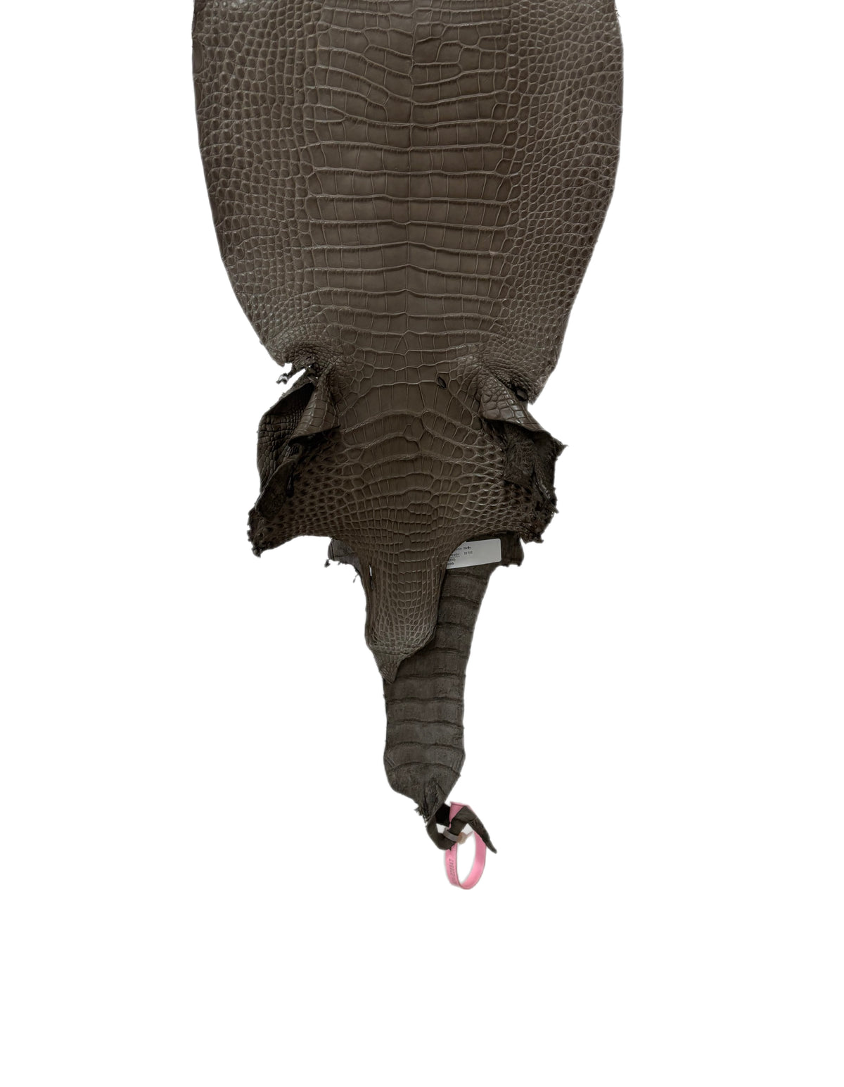 26 cm Grade 2/3 Etain Matte Farm-Raised American Alligator Leather - Tag: LA24-0228847