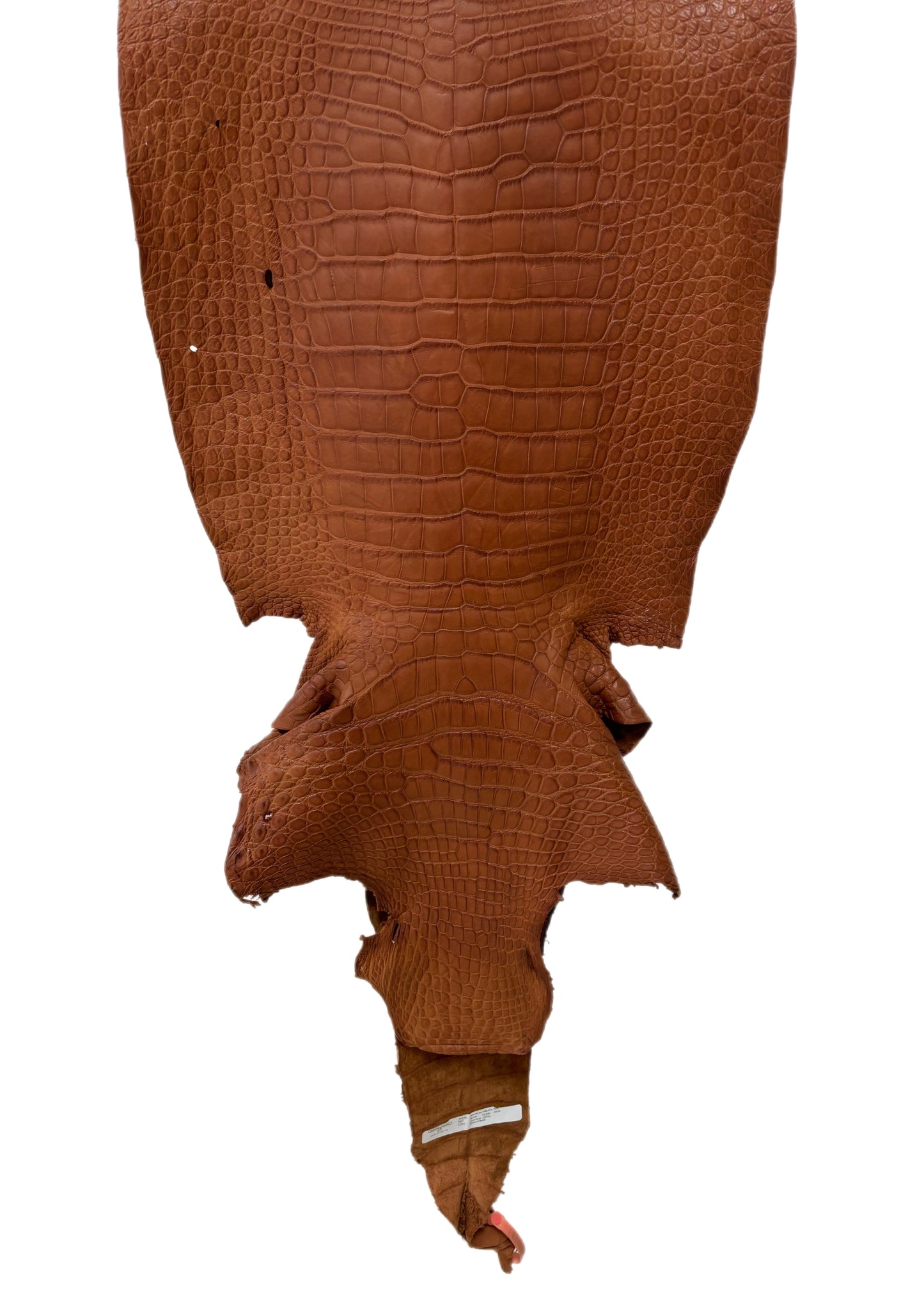 46 cm Grade 3/4 Cognac Matte Wild American Alligator Leather - Tag: LA24-0020881