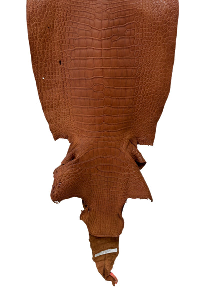 46 cm Grade 3/4 Cognac Matte Wild American Alligator Leather - Tag: LA24-0020881