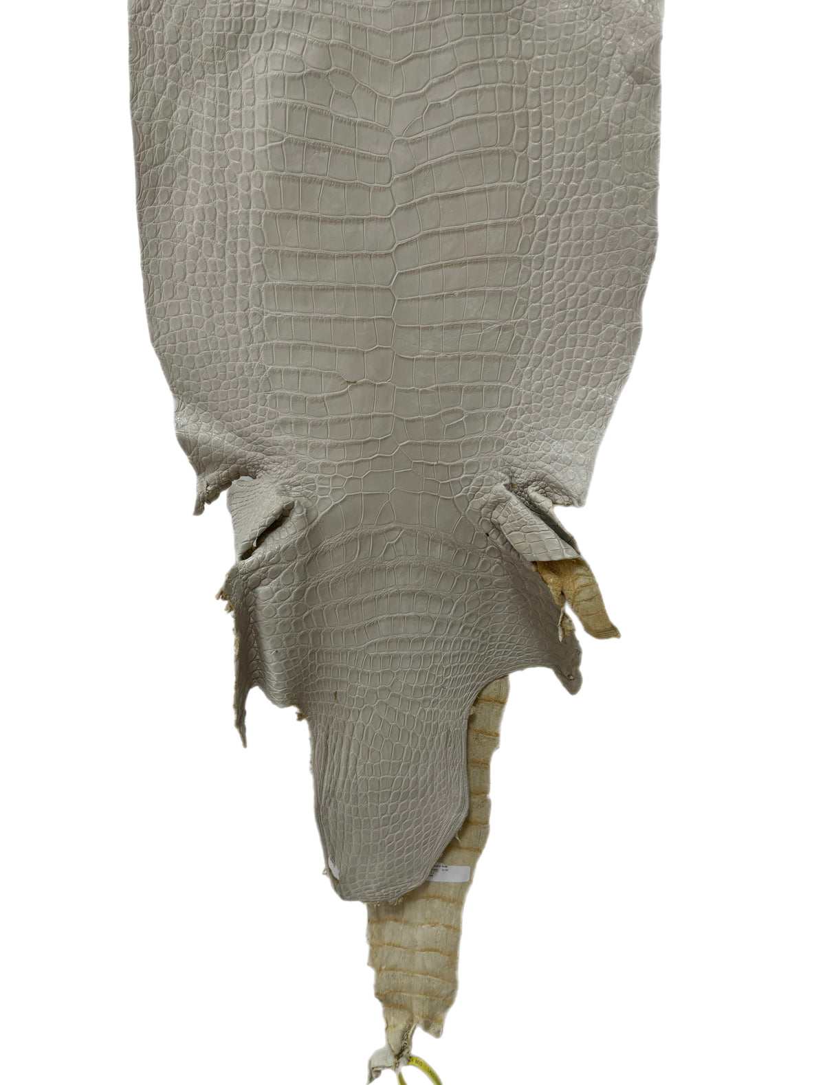 41 cm Grade 2/3 Dune Matte Wild American Alligator Leather - Tag: LA25-0001655