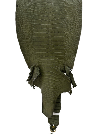 39 cm Grade 3/4 Olive Matte Wild American Alligator Leather - Tag: LA23-0022560
