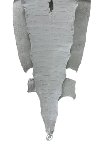 43 cm Grade 3/4 White Matte Wild American Alligator Leather - Tag: LA23-0040310