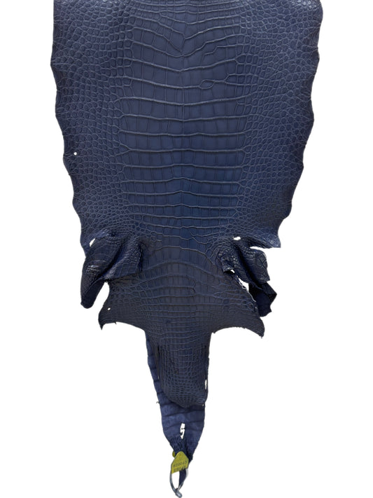 38 cm Grade 2/3 Navy Blue Desert Wild American Alligator Leather - Tag: LA17-0013570