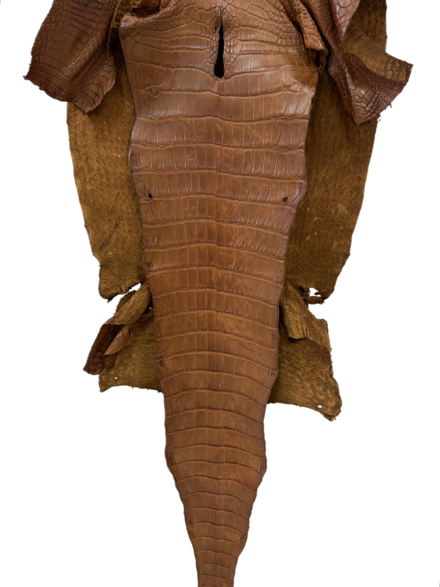 40 cm Grade 3/4 Kango Tabac Matte Wild American Alligator Leather - Tag: LA23-0051968