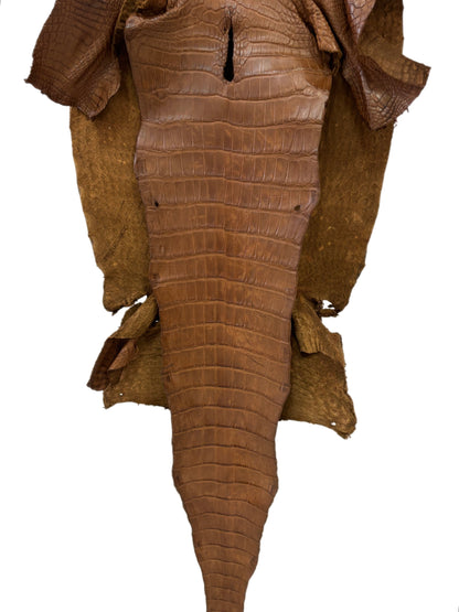 40 cm Grade 3/4 Kango Tabac Matte Wild American Alligator Leather - Tag: LA23-0051968