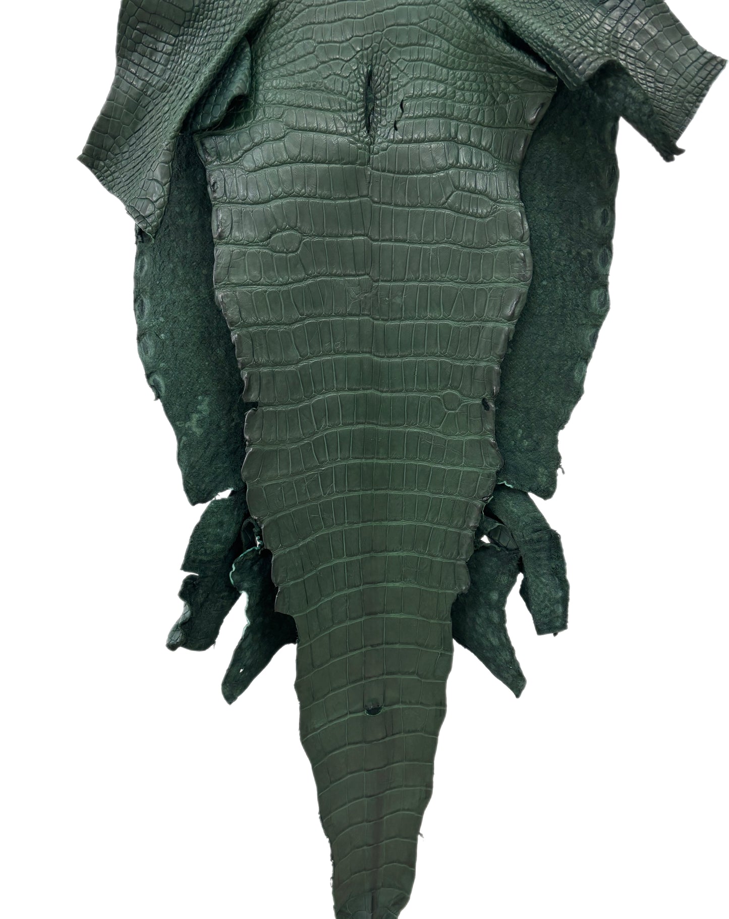 33 cm Grade 2/3 Forest Green Matte Wild American Alligator Leather - Tag: LA23-0050722