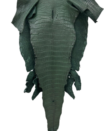 33 cm Grade 2/3 Forest Green Matte Wild American Alligator Leather - Tag: LA23-0050722