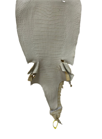 38 cm Grade 2/3 Dune Matte Wild American Alligator Leather - Tag: LA25-0044108