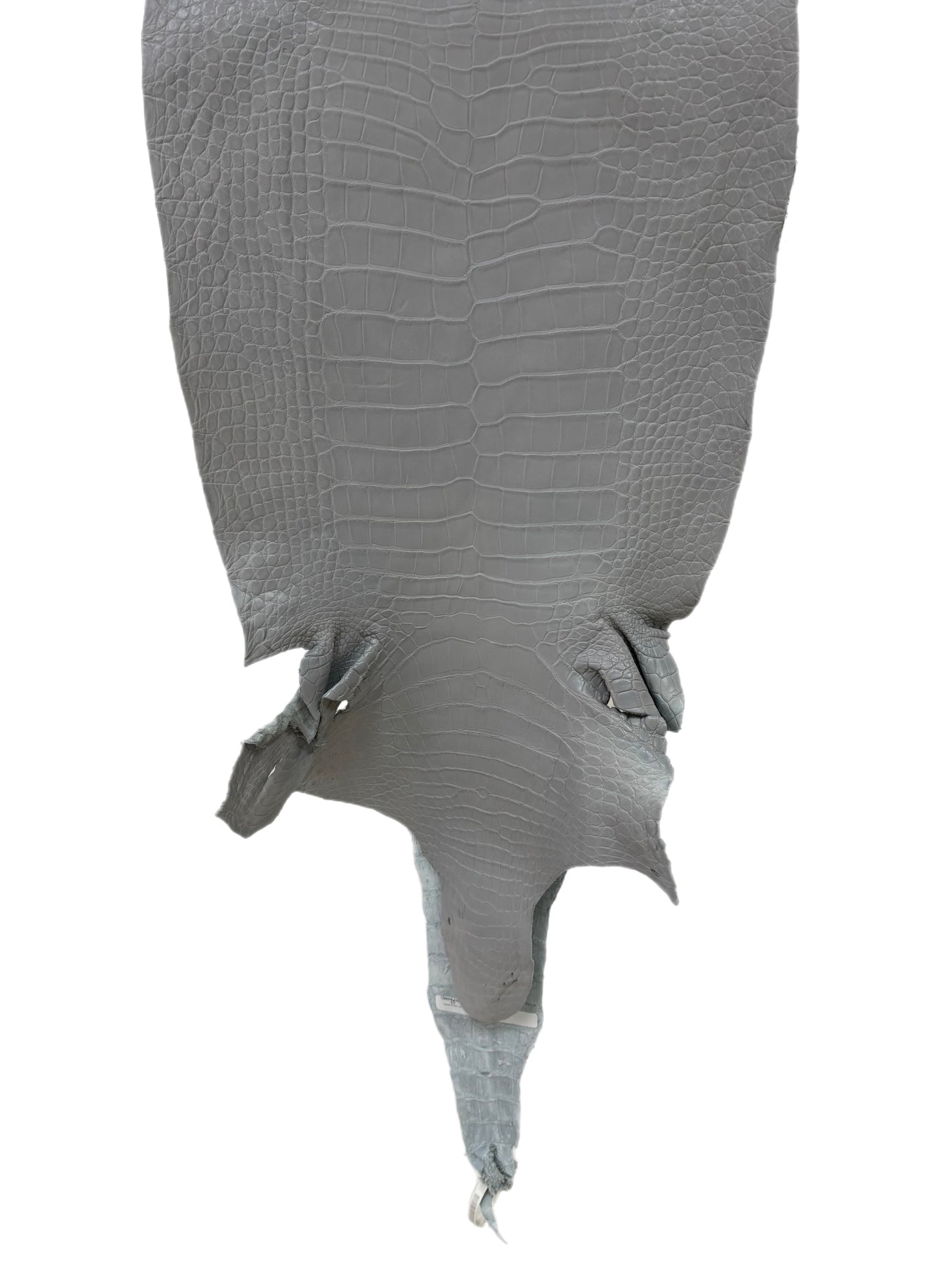 41 cm Grade 2/3 Glacier Matte Wild American Alligator Leather - Tag: LA23-0027714