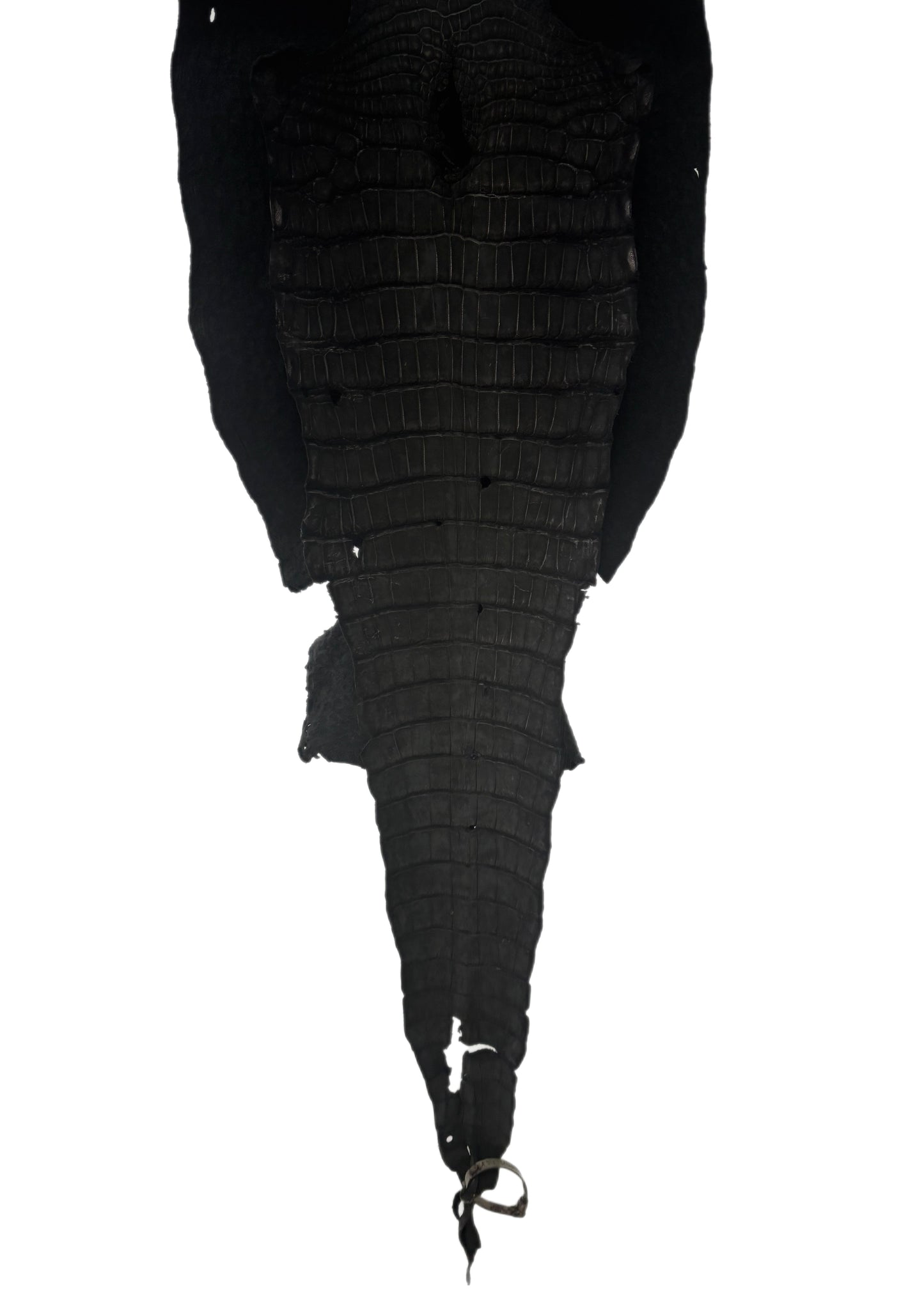 36 cm Grade 3/4 Black Nubuck Wild American Alligator Leather - Tag: LA23-0002064