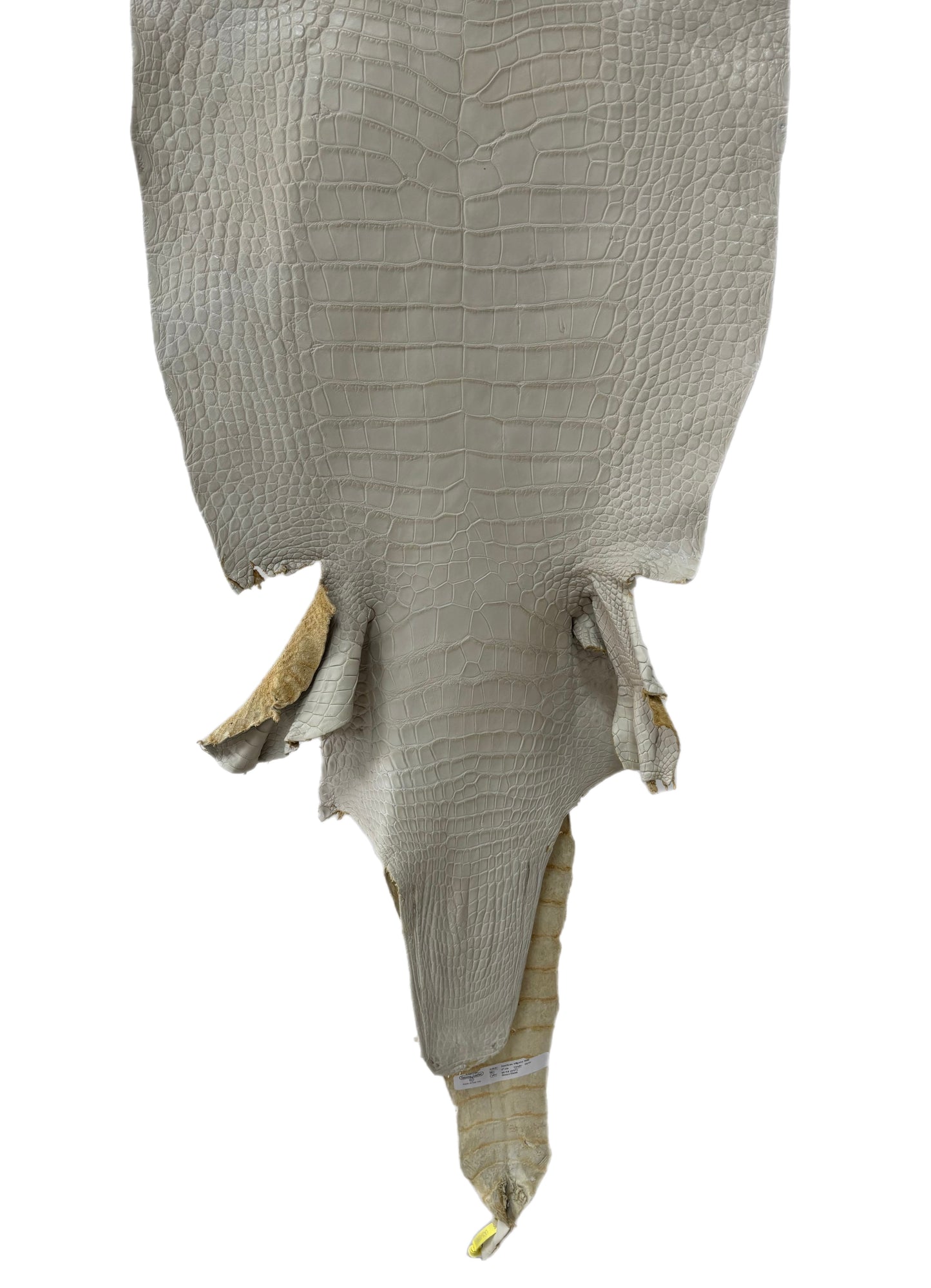 47 cm Grade 3/4 Dune Matte Wild American Alligator Leather - Tag: LA25-0025885