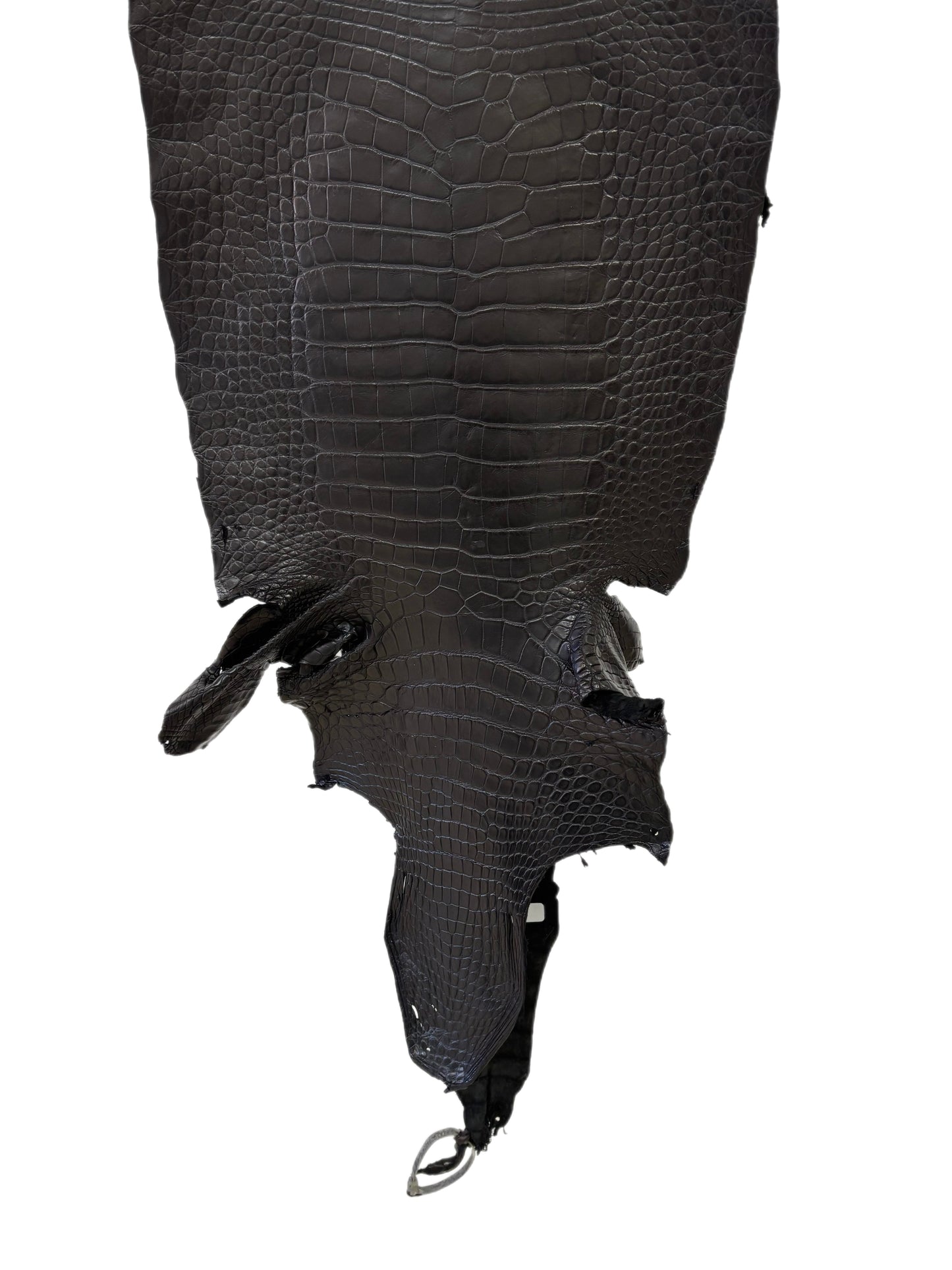 41 cm Grade 2/3 Black Matte Wild American Alligator Leather - Tag: LA23-0006274
