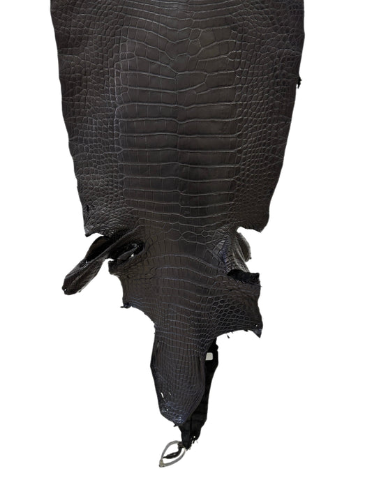 41 cm Grade 2/3 Black Matte Wild American Alligator Leather - Tag: LA23-0006274