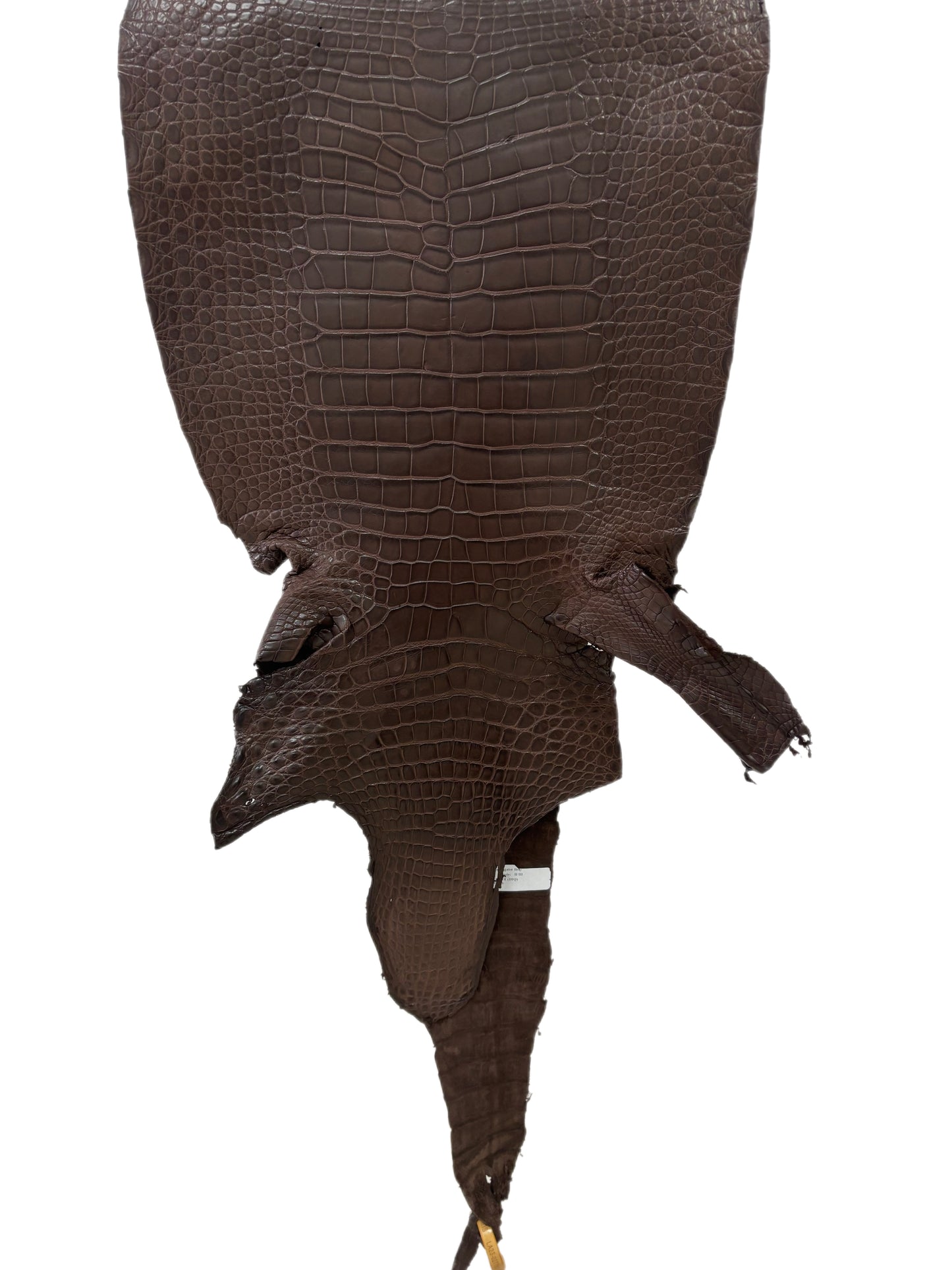36 cm Grade 2/3 Chocolate Matte Wild American Alligator Leather - Tag: LA23-0027781
