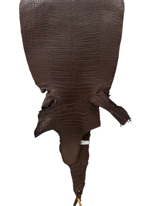 36 cm Grade 2/3 Chocolate Matte Wild American Alligator Leather - Tag: LA23-0027781