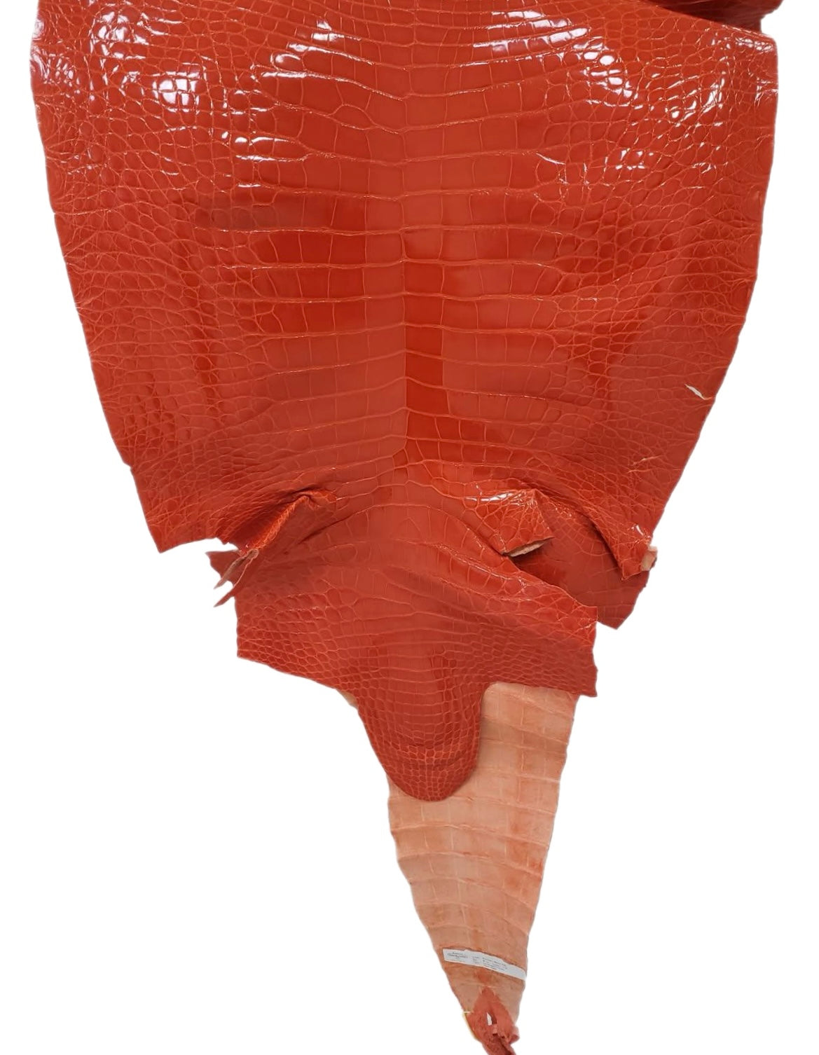 58 cm Grade 2/3 Mandarina Glazed Farm-Raised American Alligator Leather - Tag: FL14-0004082