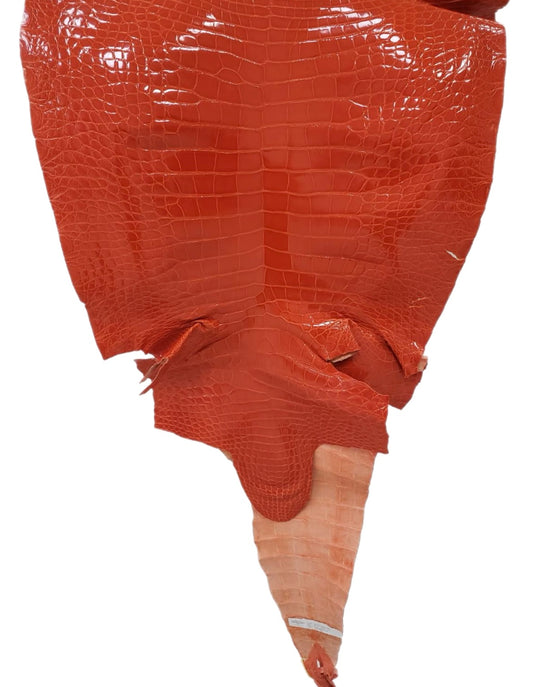 58 cm Grade 2/3 Mandarina Glazed Farm-Raised American Alligator Leather - Tag: FL14-0004082