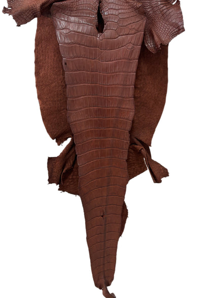 44 cm Grade 3/4 Italian Gold Matte Wild American Alligator Leather - Tag: LA25-0008565