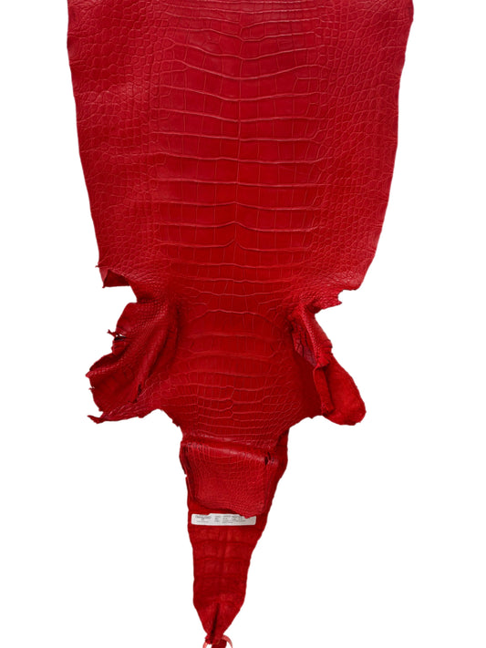 40 cm Grade 2/3 Candy Apple Red Matte Wild American Alligator Leather - Tag: FL24-0077535