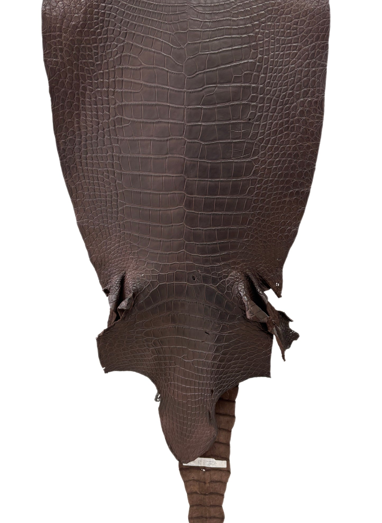 48 cm Grade 3/4 Dark Chocolate Matte Wild American Alligator Leather - Tag: LA23-0030899