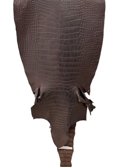 48 cm Grade 3/4 Dark Chocolate Matte Wild American Alligator Leather - Tag: LA23-0030899