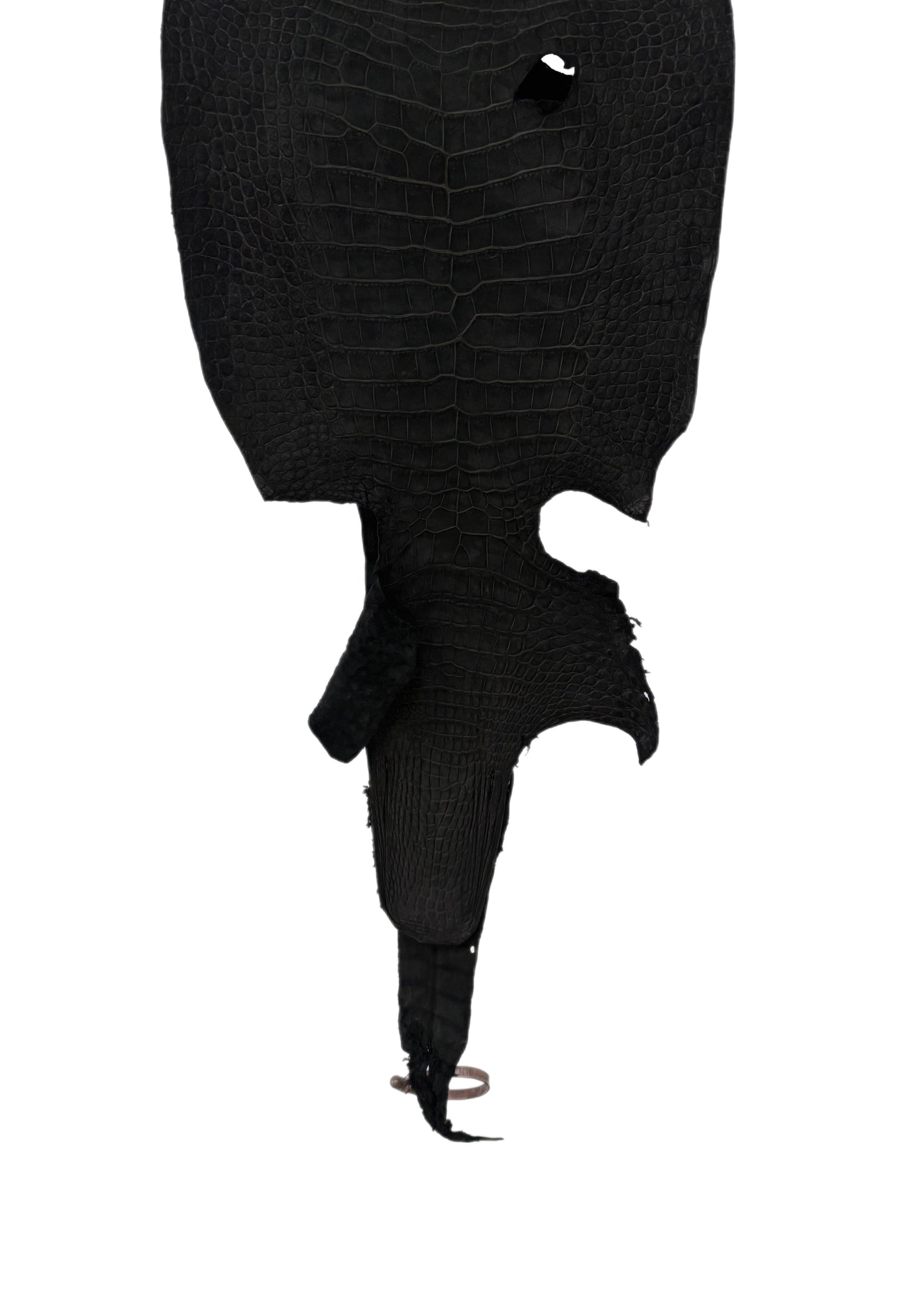 34 cm Grade 3/4 Black Nubuck Wild American Alligator Leather - Tag: LA18-0037381