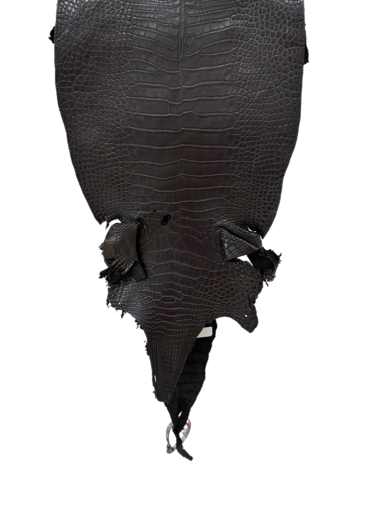 30 cm Grade 2/3 Black Matte Farm-Raised American Alligator Leather - Tag: LA23-0531403