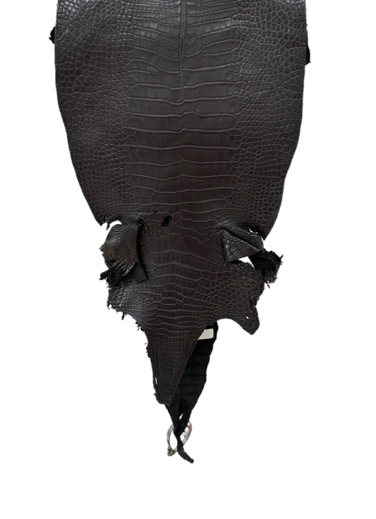30 cm Grade 2/3 Black Matte Farm-Raised American Alligator Leather - Tag: LA23-0531403
