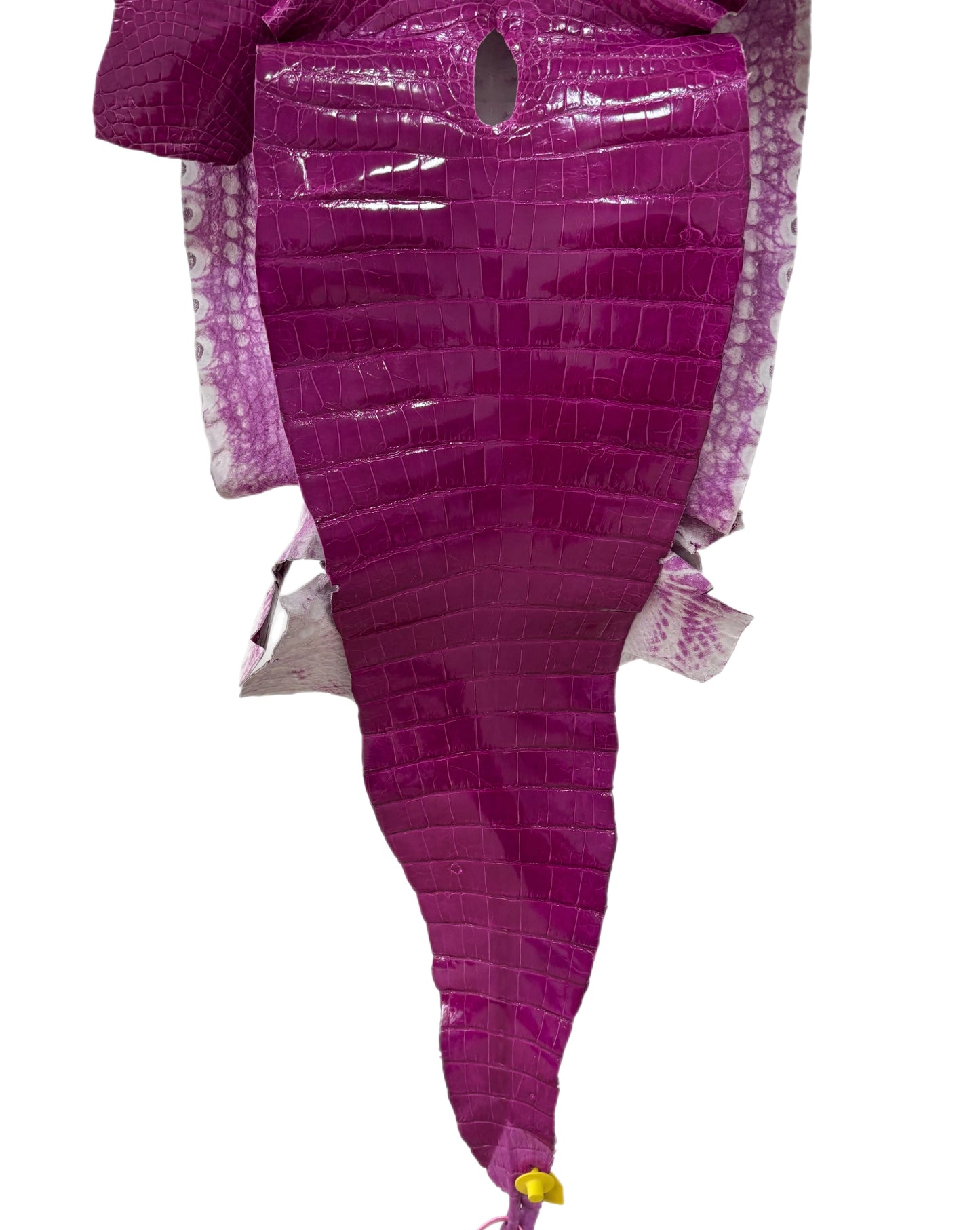 36 cm Grade 2/3 Magenta Glazed Farm Raised American Alligator Leather - Tag: FL14-0003679