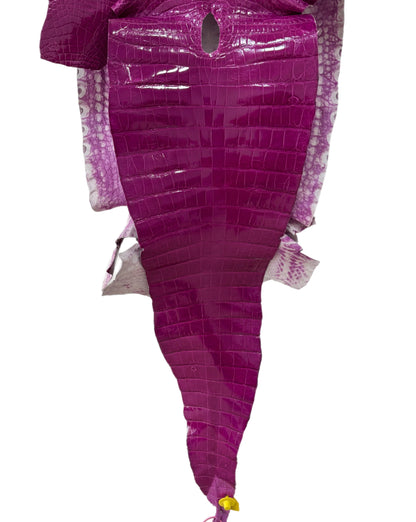 36 cm Grade 2/3 Magenta Glazed Farm Raised American Alligator Leather - Tag: FL14-0003679