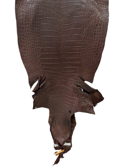 40 cm Grade 2/3 Chocolate Matte Wild American Alligator Leather - Tag: LA23-0048519