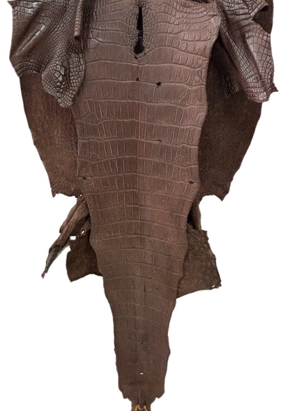 54 cm Grade 3/4 Chocolate Matte Wild American Alligator Leather - Tag: LA23-0022205