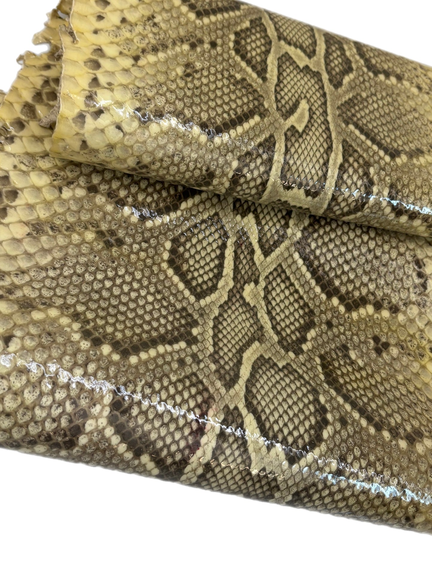 1.4 M Front Cut Millennium Python with Markings