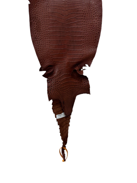 24 cm Grade 3/4 Italian Gold Matte Farm-Raised American Alligator Leather - Tag: FL22-0030124