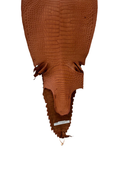 35 cm Grade 2/3 Cognac Matte Farm-Raised American Alligator Leather - Tag: FL17-0052826