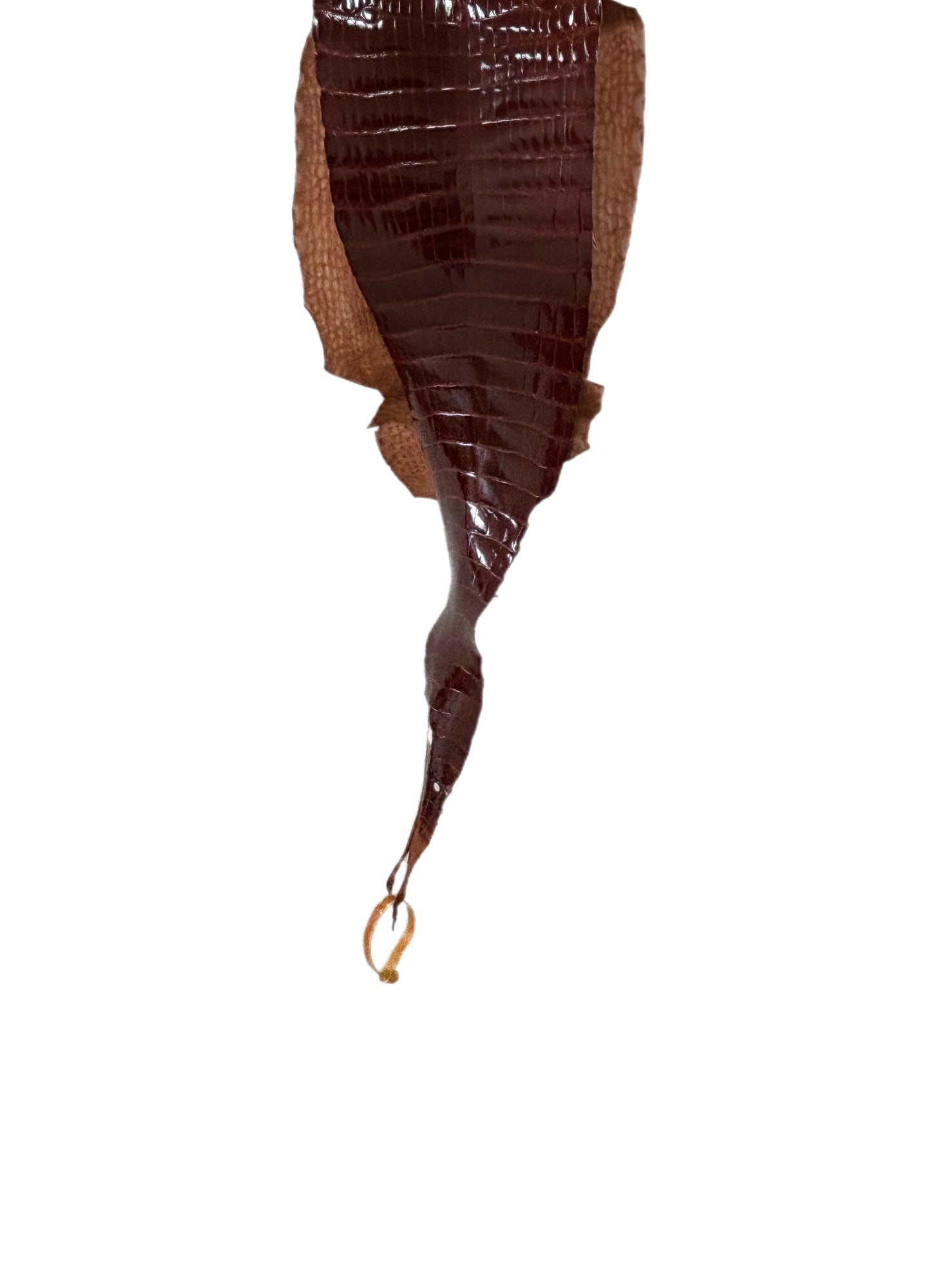 23 cm Grade 2/3 Peanut Glazed Farm-Raised American Alligator Leather - Tag: LA17-0133558