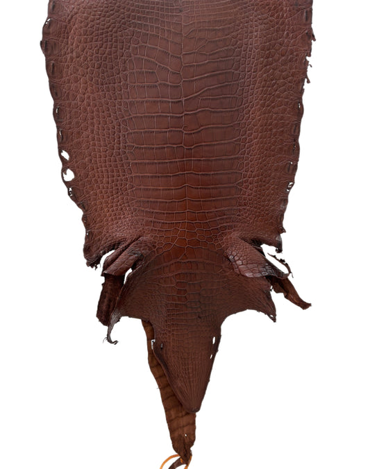 36 cm Grade 3/4 Italian Gold Matte Wild American Alligator Leather - Tag: LA23-0047095